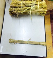 KHẢO SÁT KHẢ NĂNG CHỊU KÉO CỦA RƠM RẠ  NHẰM TÁI SỬ DỤNG LÀM VẬT LIỆU GIA CỐ NỀN ĐƯỜNG